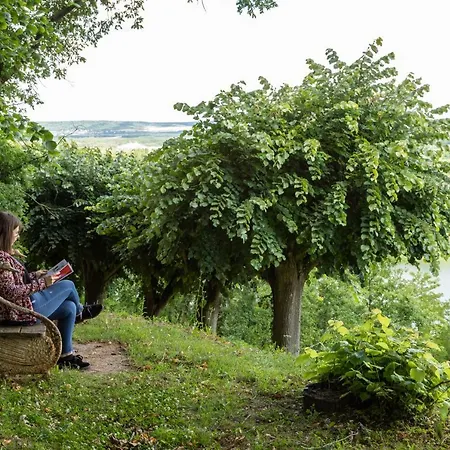 Domaine De La Corniche