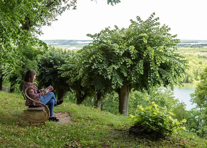 Domaine De La Corniche